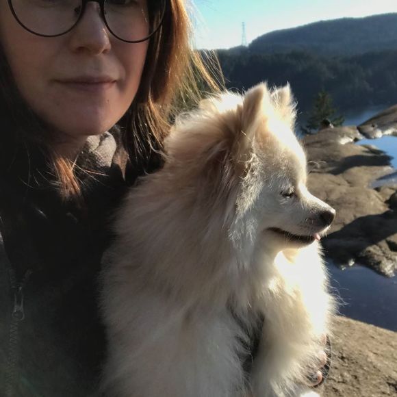 Meet your Posher, Rustie - Picture 1 of 1